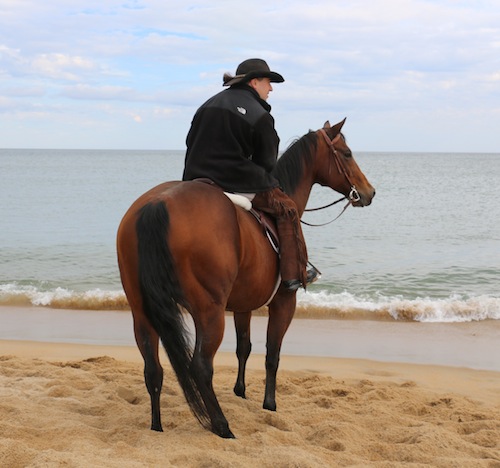 Kevin and Peppy at MSPCA Horses Helping Horses Beach Ride