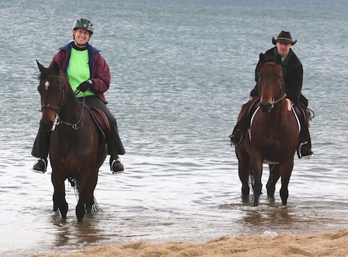 Tigger and Peppy at MSPCA Horses Helping Horses Beach Ride