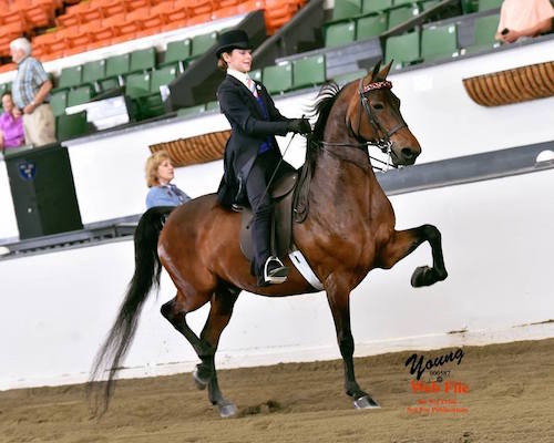 Mia competing at horse show