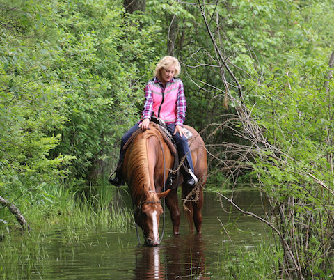 Stopping to let the horse get a drink on the trail ride