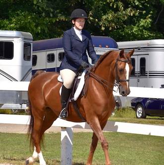 Patti in the show ring with her Morgan horse Lucy