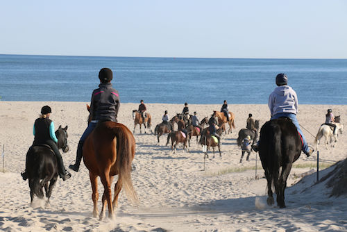 Chrislar rider at Nevins Farm fundraiser beach ride