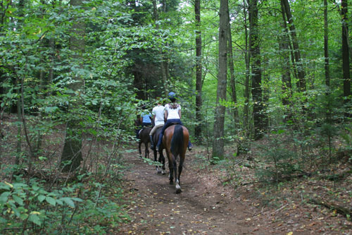 trail riding is one of the activities you can do when you leasing a horse at Chrislar