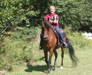 trail riding horse, rider and dog.