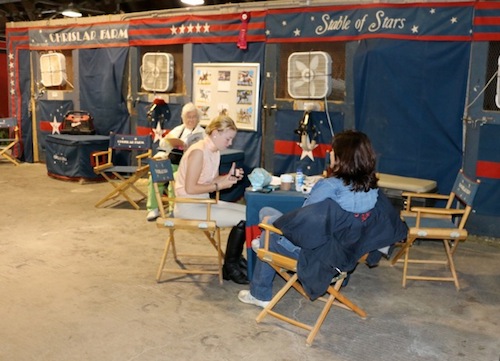Relaxing at the Chrislar stall area at New York Regional Morgan Horse Show