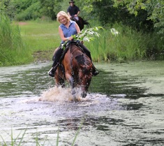 Congrats on purchase of new QH horse