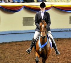 Ellen and her new morgan horse, Frankie