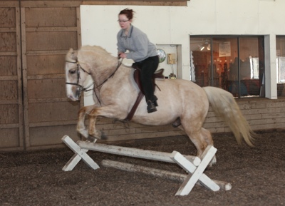 Marlena Froehlich’s new horse  