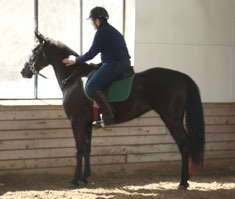  Joe and his new horse Lacey