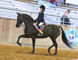 Melissa and Rachel congratulations on your new horse