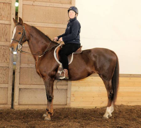 Patti Murphy wtih new Morgan horse