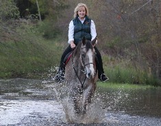 Wendy’s new Appaloosa horse Rocky