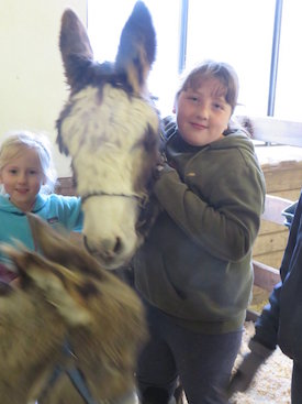 girls with mini donkeys