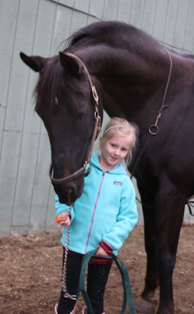 Chrislar group at horse camp day