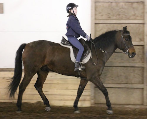 Chrislar student in riding lesson