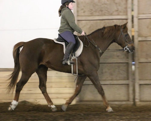 Chrislar student in riding lesson