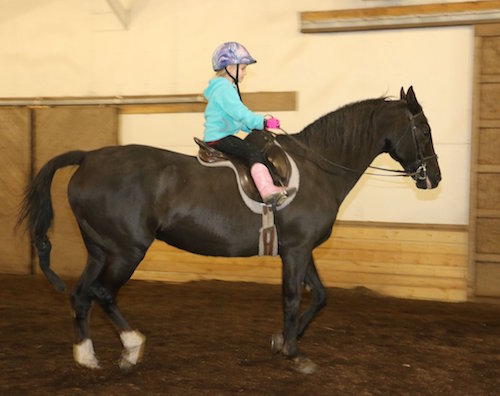 beginner rider in riding lesson