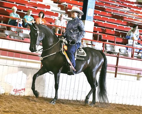 Reserve Champion Western Division