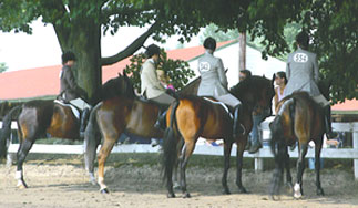 taking a break at a horse show